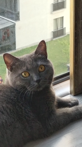 5 yasında kısır fotoğraf