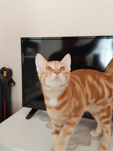 Sarmanıma sıcacık yuva fotoğraf