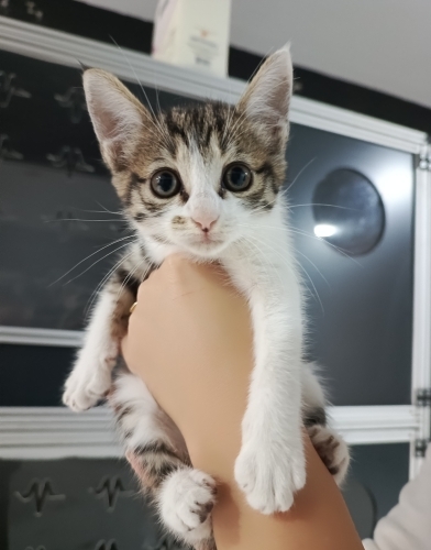 Minnacık yumuşacık puf puf bir bebiş🧿 fotoğraf