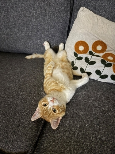 Temas bağımlısı fotoğraf
