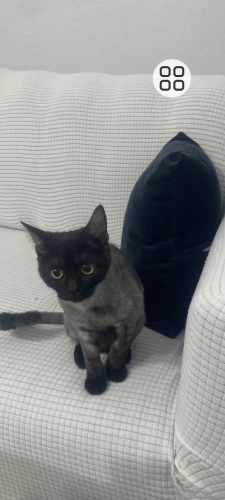 Acil yuva arıyorum fotoğraf