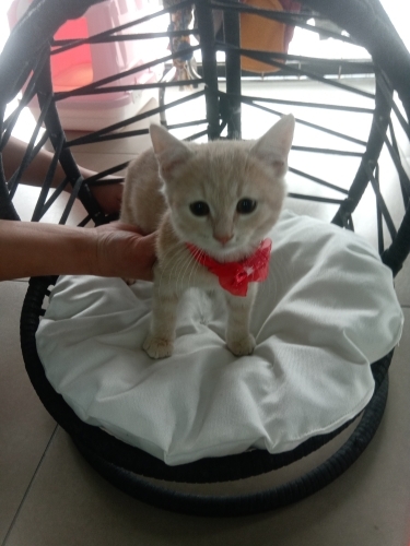 ÇOK TATLI VE BEYEFENDİ Alex fotoğraf