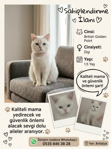 Sicak yuvasını arıyor. fotoğraf