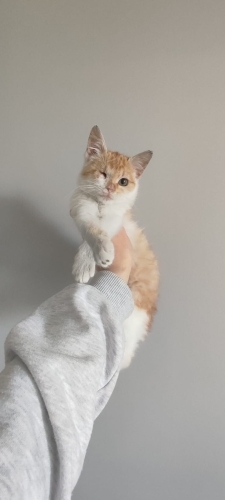 Sevecen, Oyuncu ve Mücadeleci :) fotoğraf