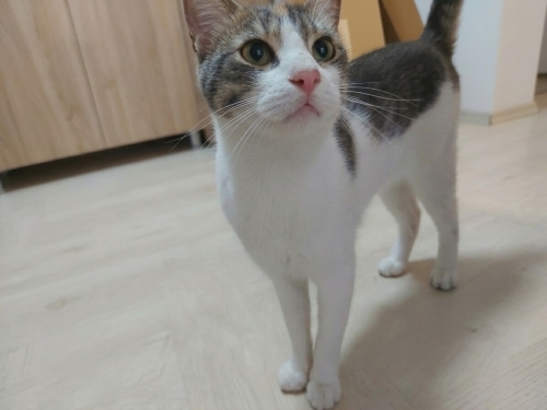 Acayip Sevecen Tatlı mı Tatlı fotoğraf