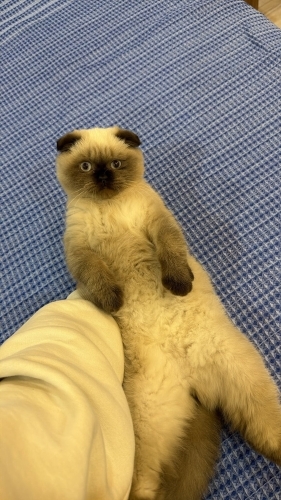 Ömürlük yuvasını arıyoruz fotoğraf
