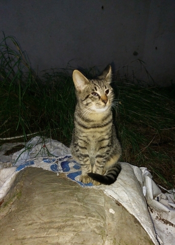 ONUN GÖZLERİ OLUR MUSUNUZ? 🥹 fotoğraf