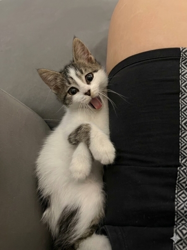 OYUNCAK GİBİ BİR BEBİŞ fotoğraf