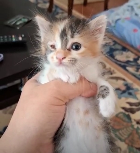 Engelli Minik, Mama Desteğiyle Yuva Arıyor fotoğraf