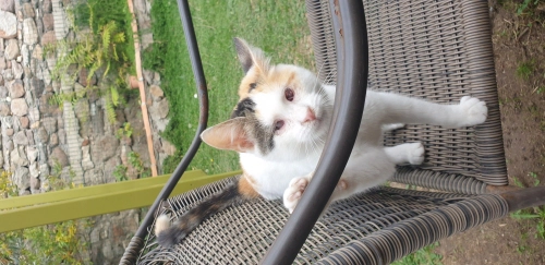 Gözlerim görmüyor ama siz beni görmeden geçmeyin fotoğraf