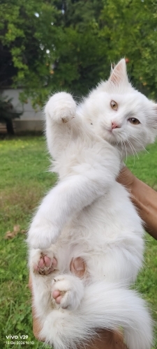 Cana yakın birlikte yatmayı seven geraldın kardeşi fotoğraf