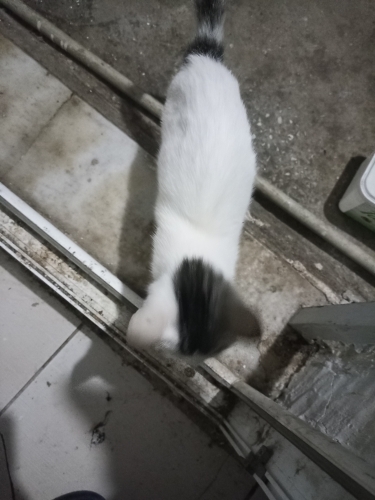 Çok oyuncu ilgi delisi bir cocuk fotoğraf