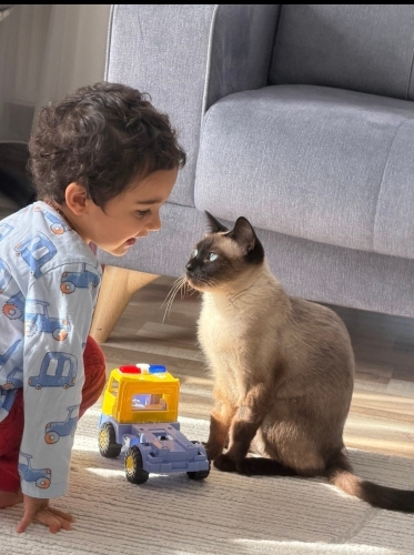 Eğlenceli uyumlu fotoğraf