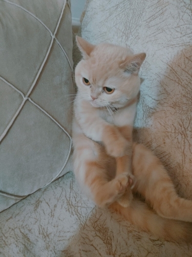 KISIR AŞIRI SAKİN BEBEĞİM fotoğraf