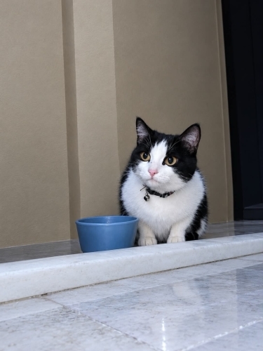 Çok uyumlu, masum dünya güzeli fotoğraf