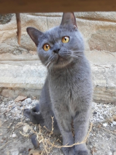 Meleğini arıyor o kişi siz olabilirsiniz fotoğraf