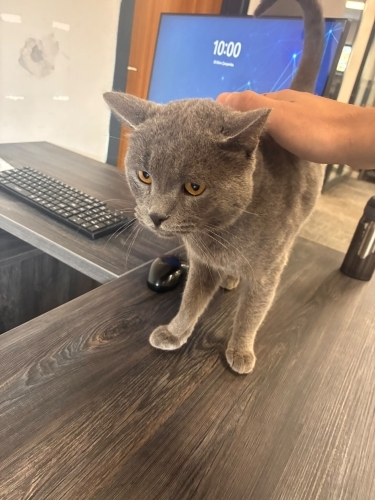 Onun yeri sıcak bir yuva olmalı fotoğraf