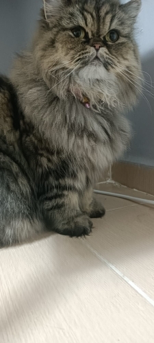 Sakin cana yakın fotoğraf