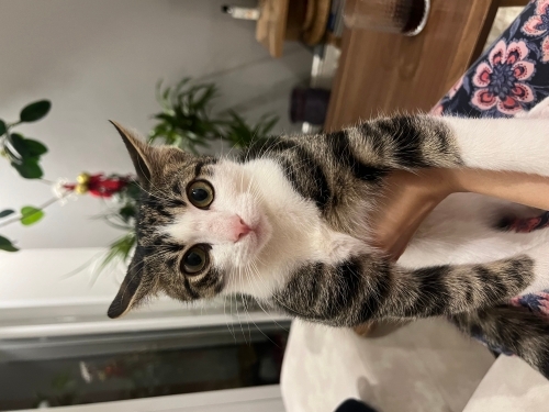 Sevecen bebek sokaklara dönmesin fotoğraf