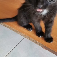 Çok küçük..