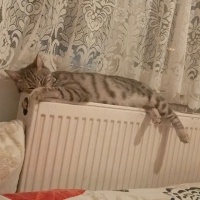Luna sıca..