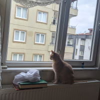 Kısır Ev..