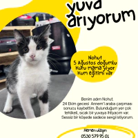 Nohut Ömü..
