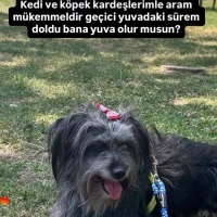 Lucie ye..