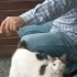 Sokakta yaşayamaz acil yuva