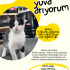 Nohut Ömürlük Yuvasını Arıyor!