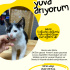 Börte Ömürlük Yuvasını Arıyor!