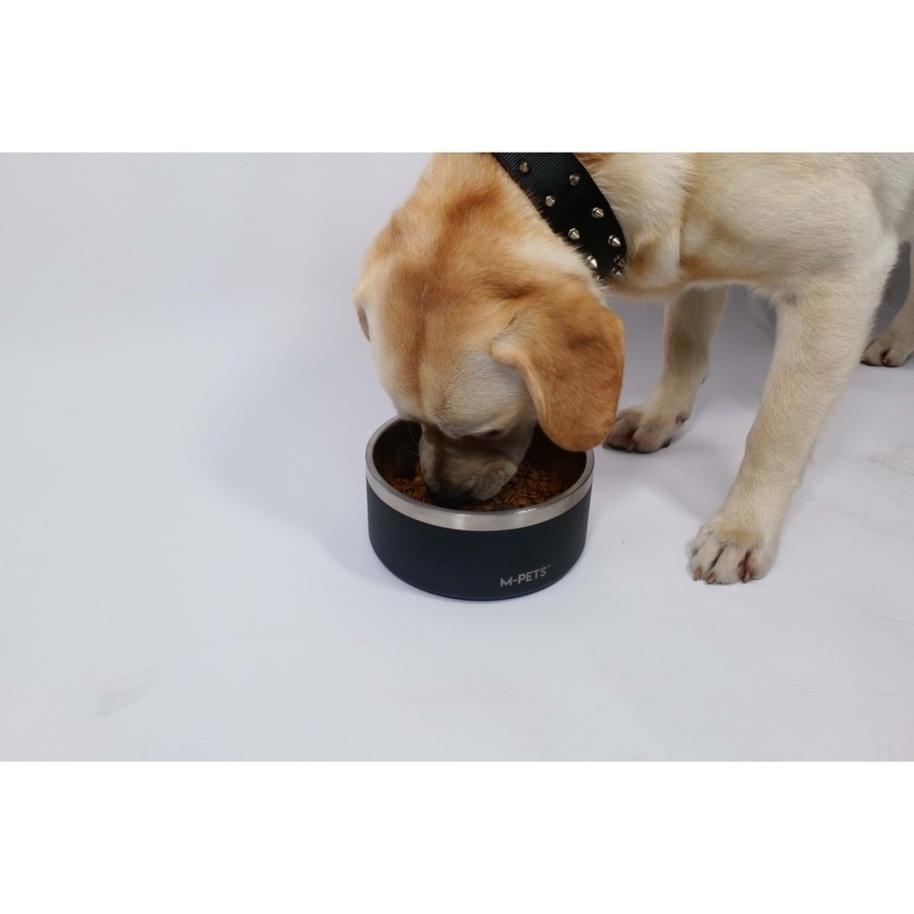 M-Pets Eskimo Çift Cidarlı Köpek Mama ve Su Kabı 1250ml (Mavi)