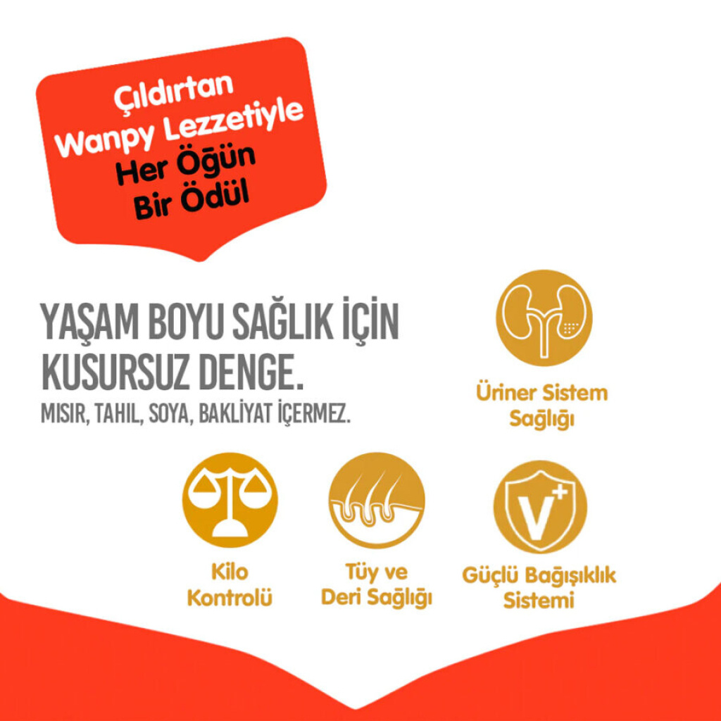 Wanpy Somon ve Ton Balıklı Tahılsız Kısırlaştırılmış Kedi Maması 1,5kg