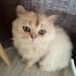 suskun1