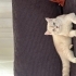 busrakyaa34