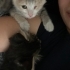 donmezfatima22gmailcom