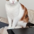 Fidanf