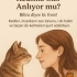 SevayBicici