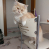murat_de