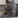 k1327773