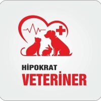 Hipokrat veteriner kliniği