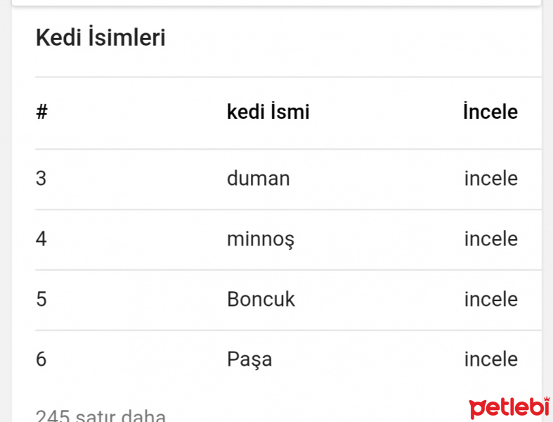 Tekir Kedi, Kedi  Boncuk fotoğrafı