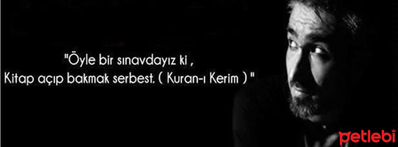 Tekir Kedi, Kedi  müezza fotoğrafı
