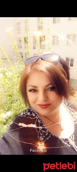 Tekir Kedi, Kedi  Mırmır fotoğrafı