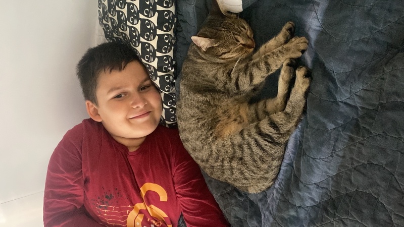 Tekir Kedi, Kedi  Sahure fotoğrafı