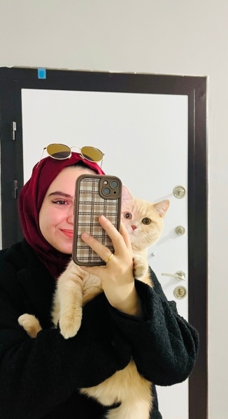 British Shorthair, Kedi  Şila fotoğrafı