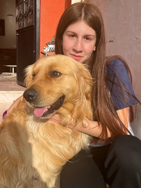 Golden Retriever, Köpek  Şans fotoğrafı