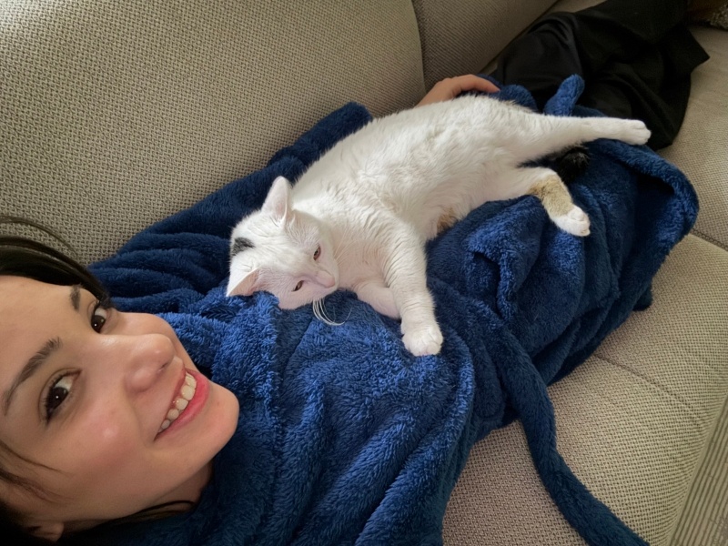Tekir Kedi, Kedi  Bulut fotoğrafı