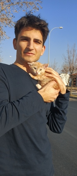 Sarman, Kedi  Lokum fotoğrafı