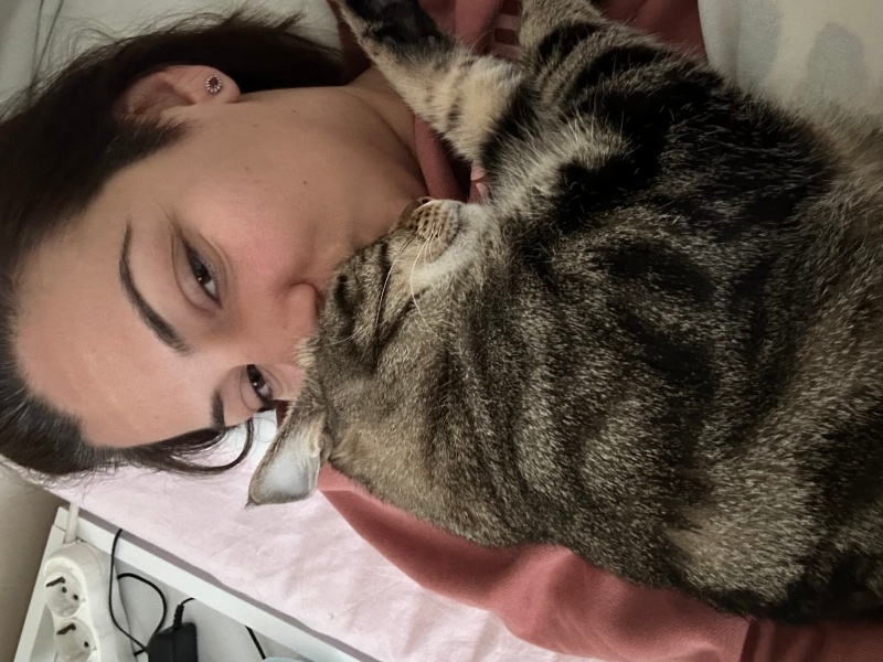 Tekir Kedi, Kedi  Pierre fotoğrafı
